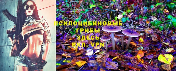 герыч Аркадак