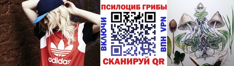 Псилоцибиновые грибы мухоморы  дарк нет официальный сайт  Темрюк 